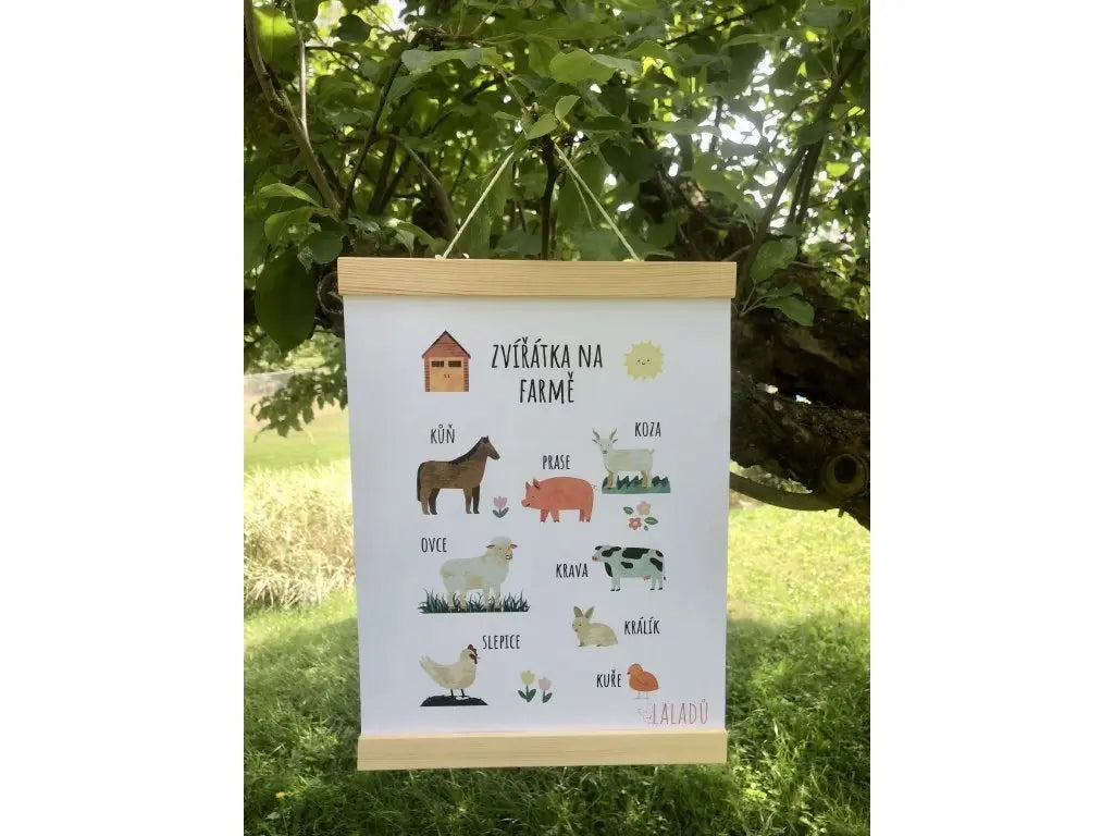 Vzdělávací plakáty
