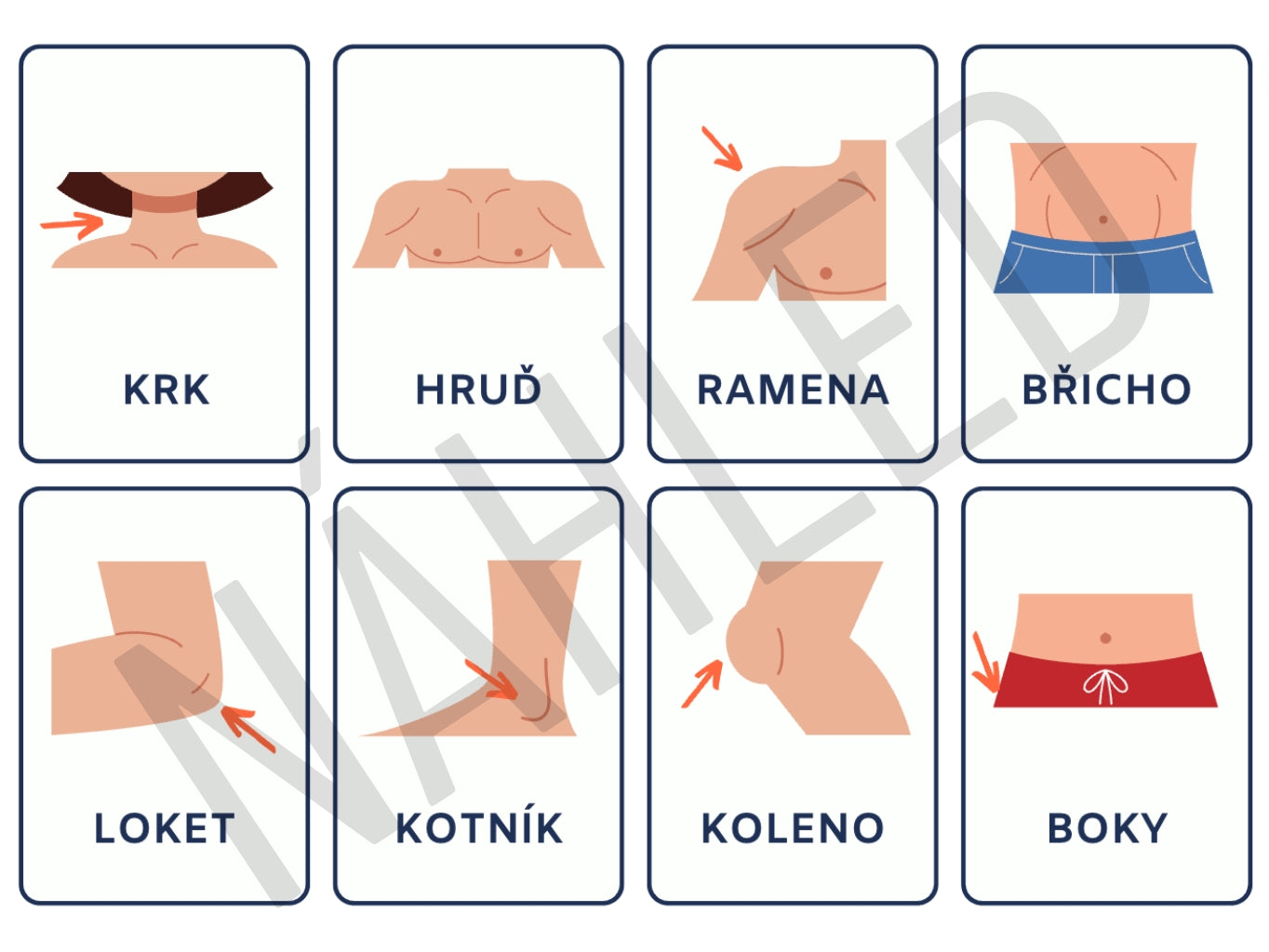 Výukové kartičky části těla pro děti – hlava, oči, nos, uši a další