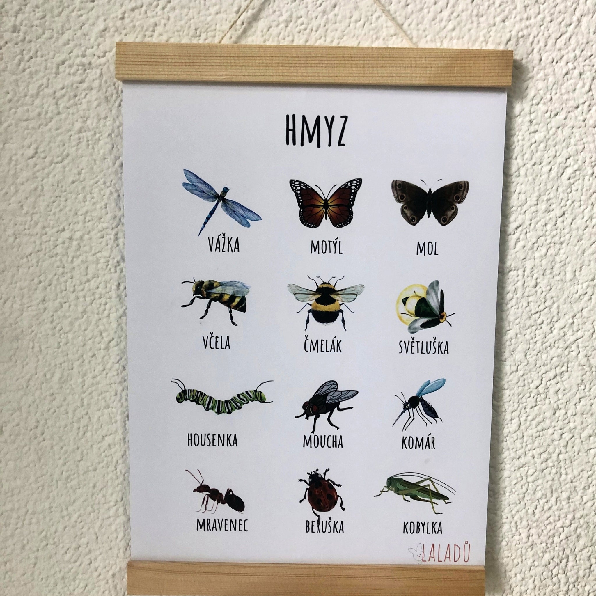 Vzdělávací plakát Hmyz pro děti s vážkou motýlem včelou a dalšími druhy