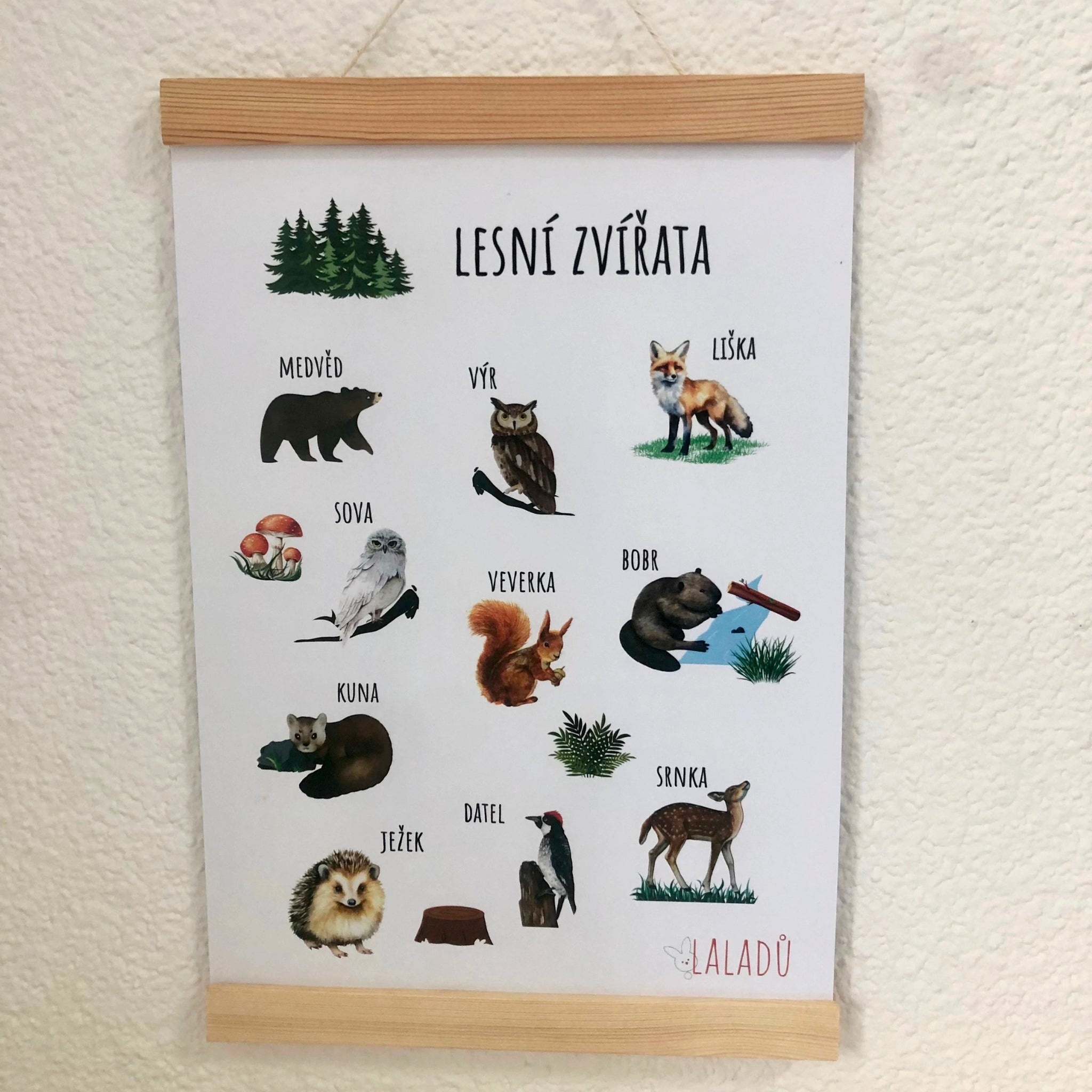 Vzdělávací plakát Lesní zvířata pro děti s obrázky a názvy