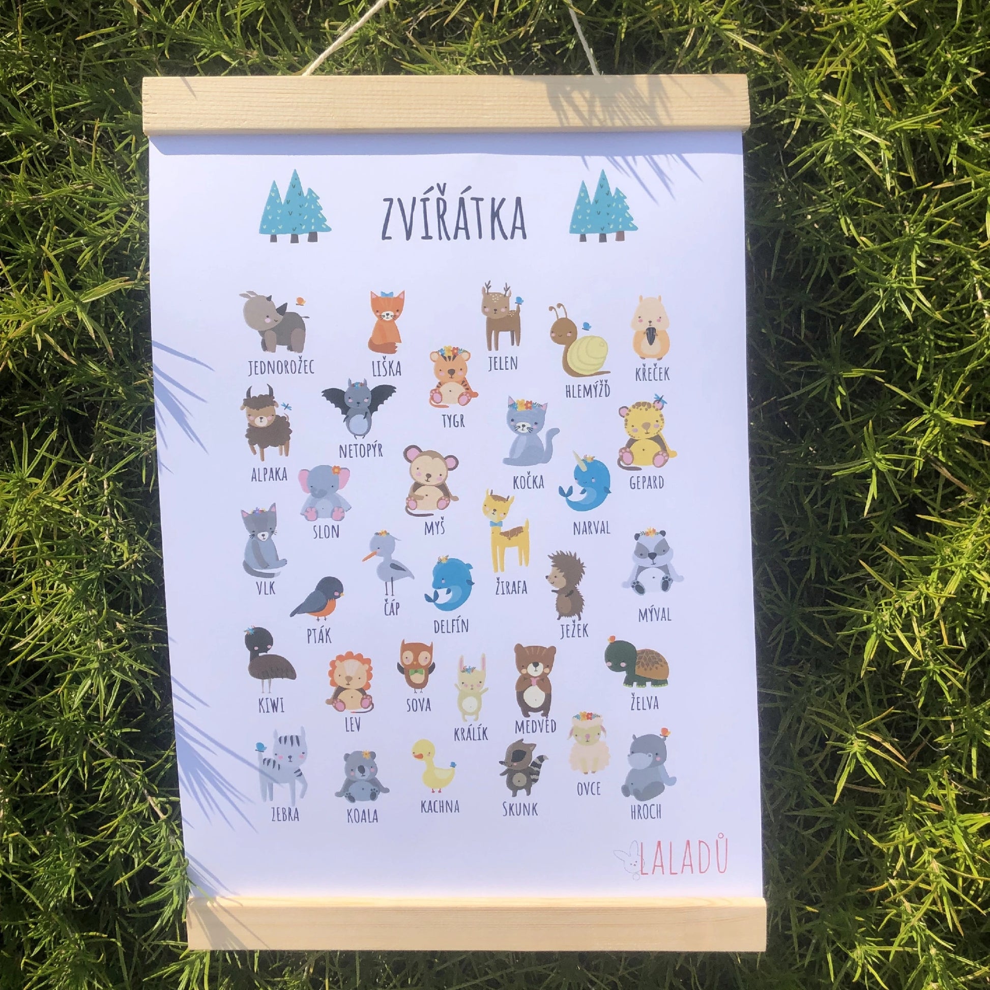 Dětský plakát Zvířátka s obrázky různých druhů zvířat a jejich názvy