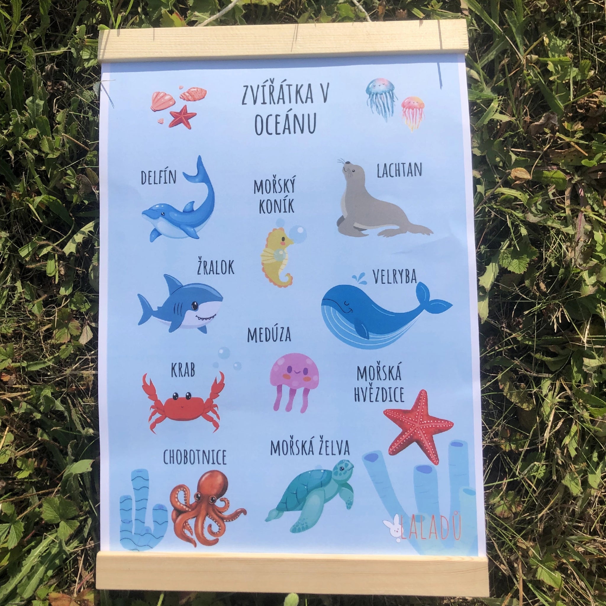 Dětský vzdělávací plakát Zvířátka v oceánu s mořskými živočichy