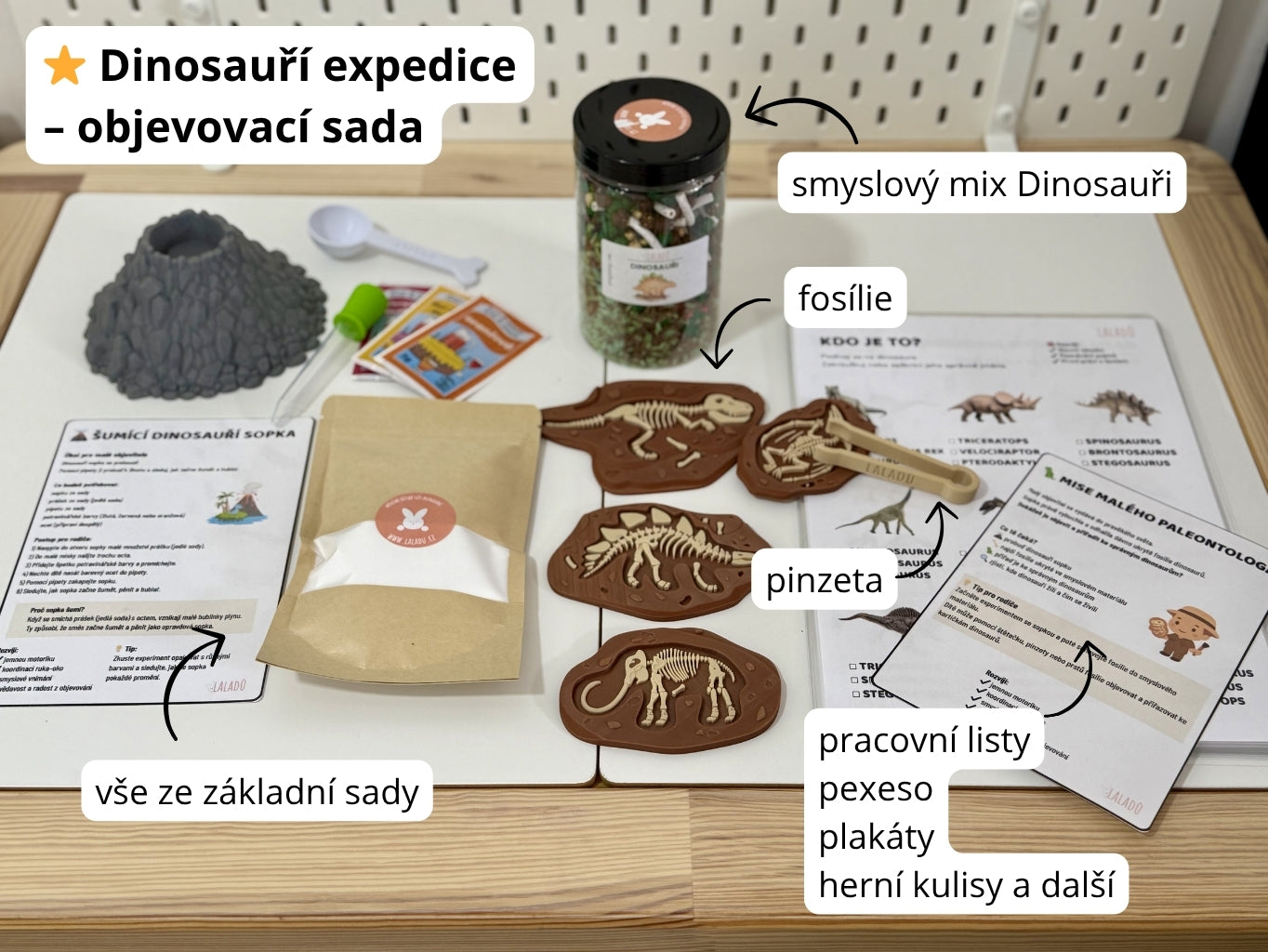 Dinosauří expedice – objevovací smyslová sada s fosiliemi a pracovnimi listy