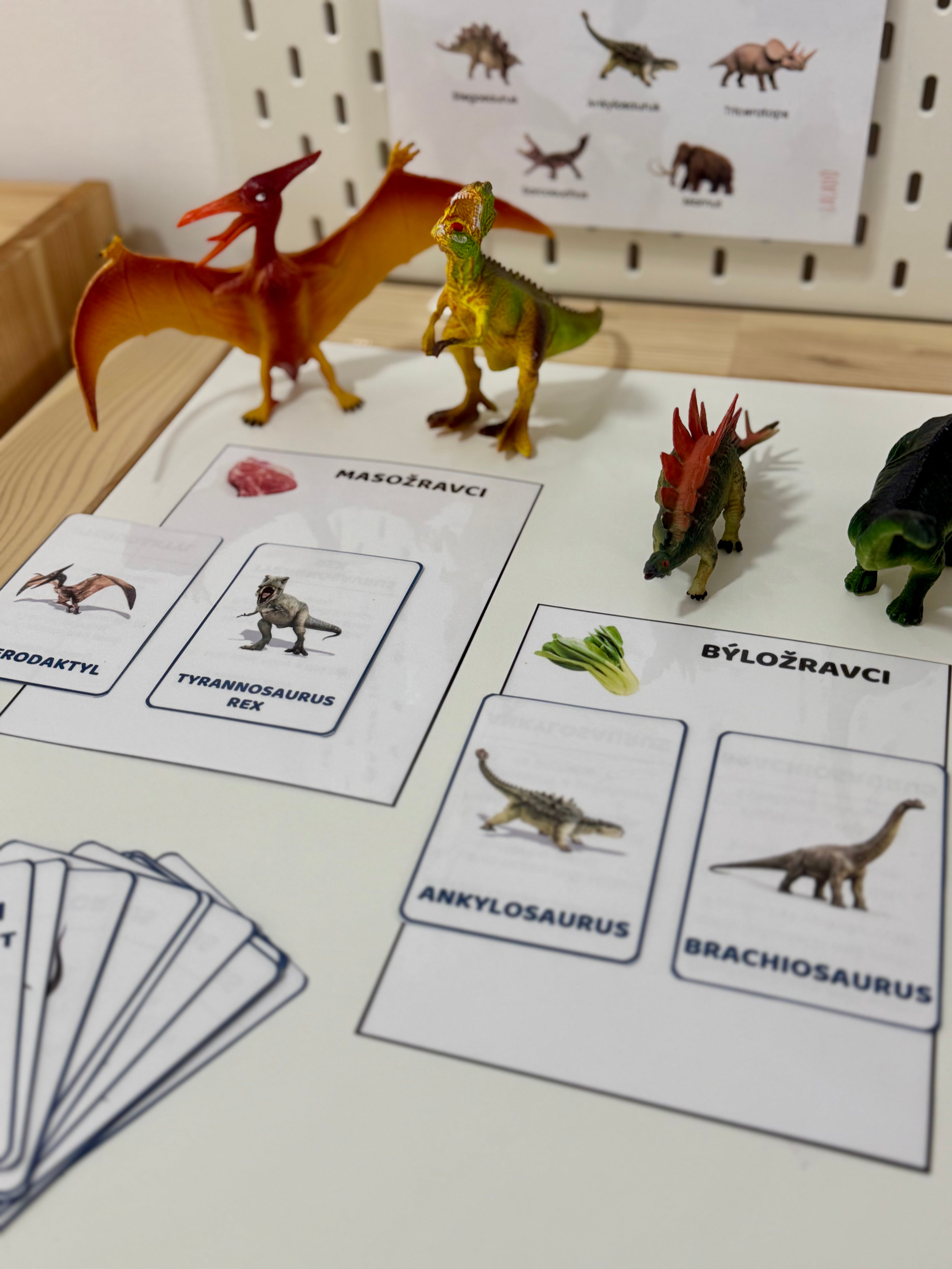 hra s dinosaury masožravci nebo býložravci