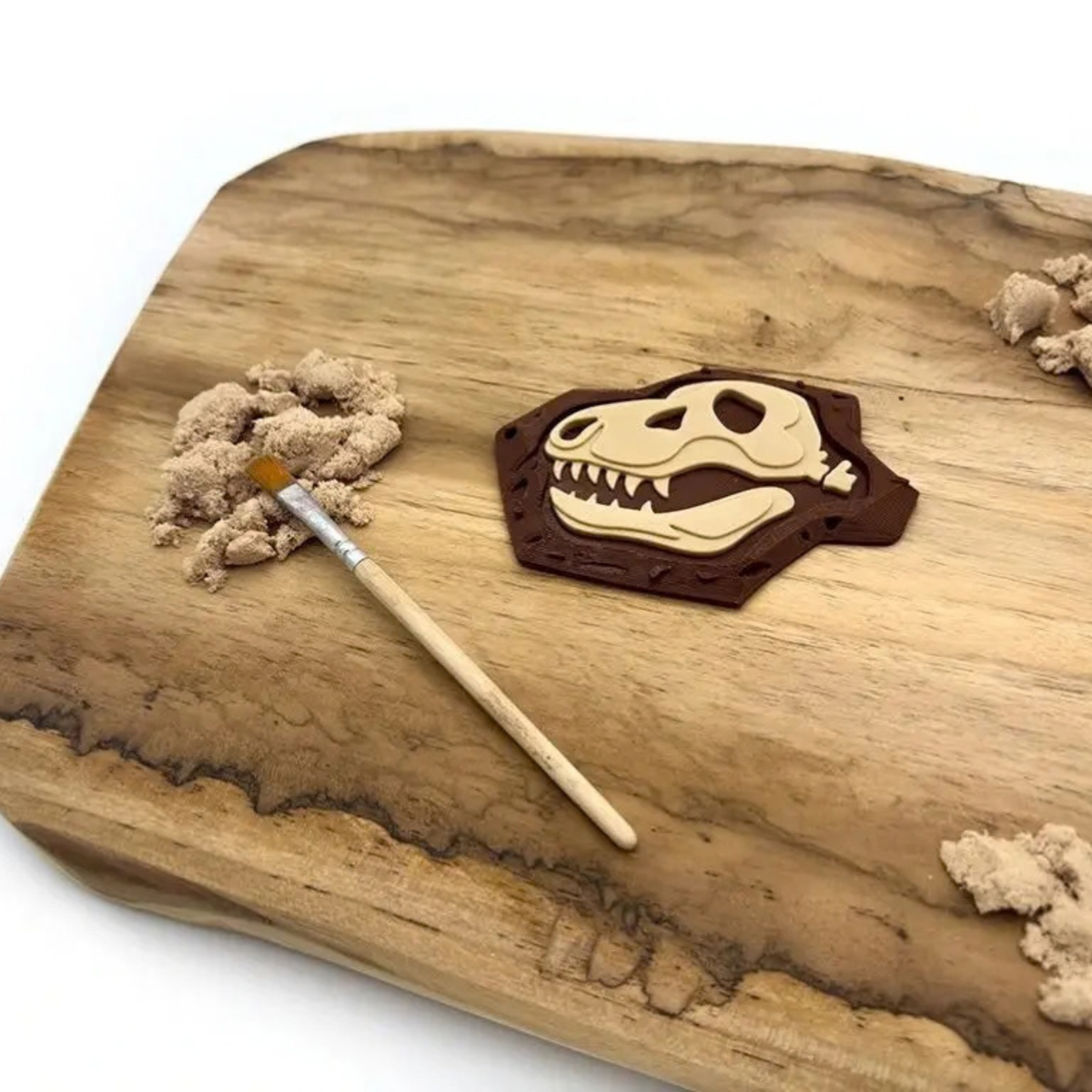 Detailní fosílie lebky tyrannosaura pro tematické dinosauří hry a sensory play.