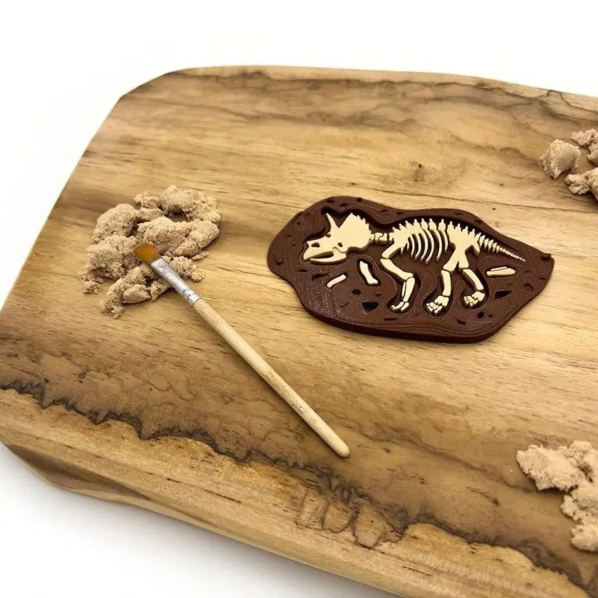 Fosílie triceratops – pravěká kostra pro dětské objevování