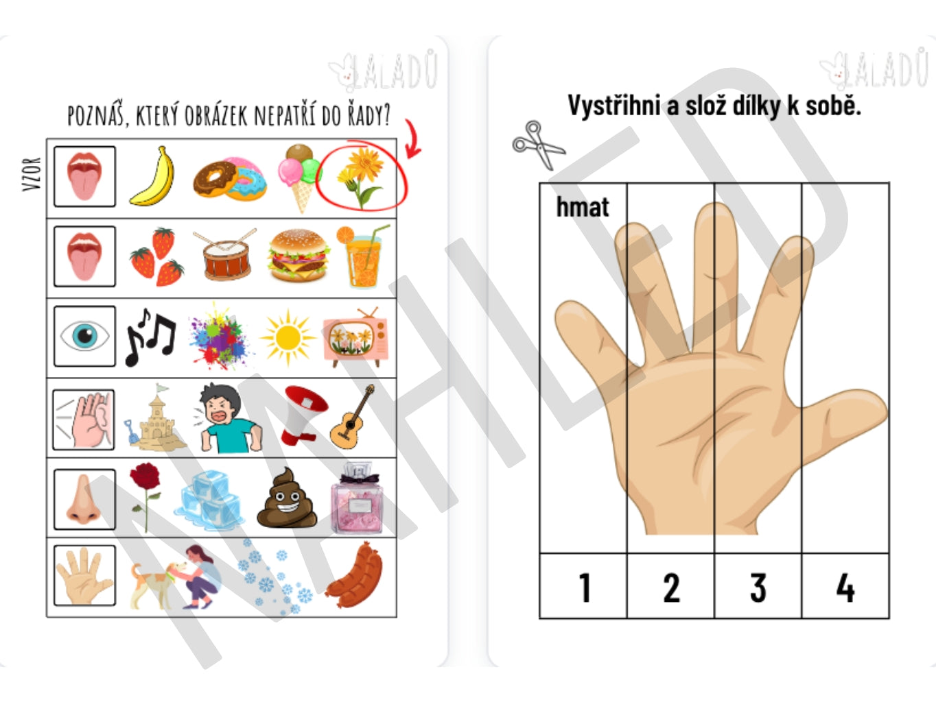 Hravé úkoly na poznávání pěti smyslů – pracovní listy pro předškoláky