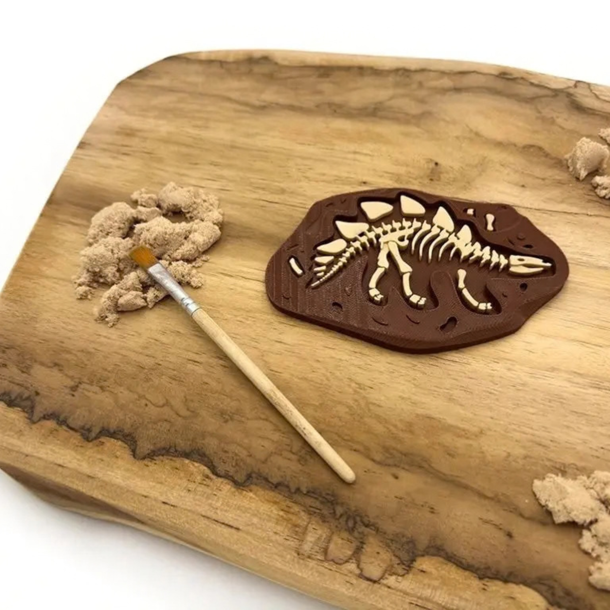 Fosílie stegosaurus – dinosaurus pro sensory play a archeologii