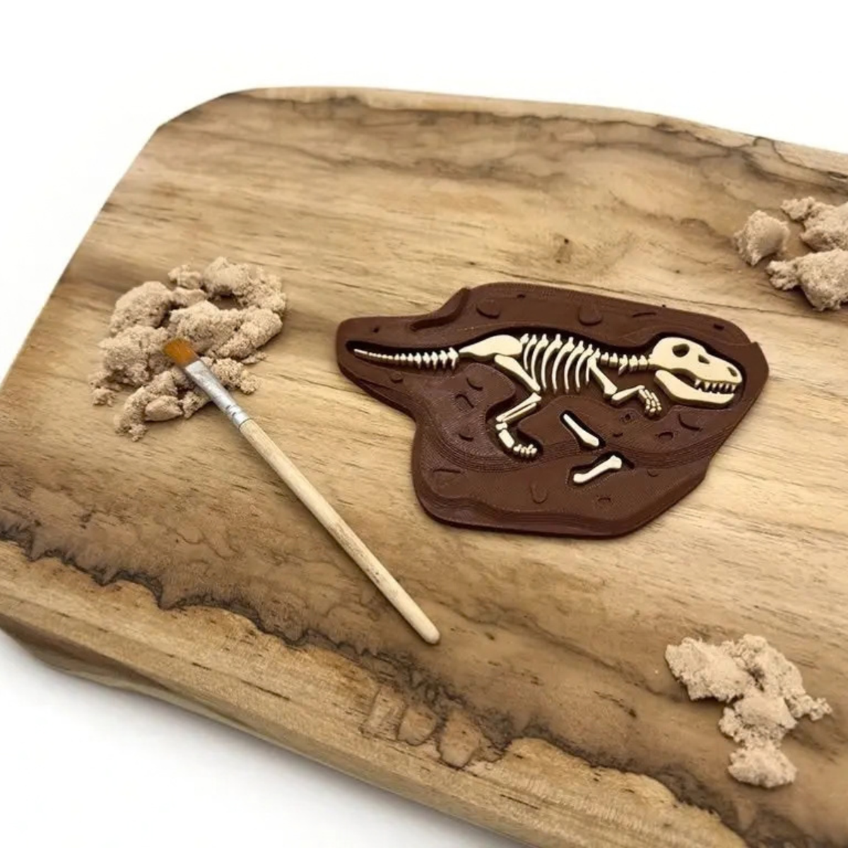 Velká fosílie T-Rexe vhodná k objevování štětcem i obtiskům do modelovacích hmot.