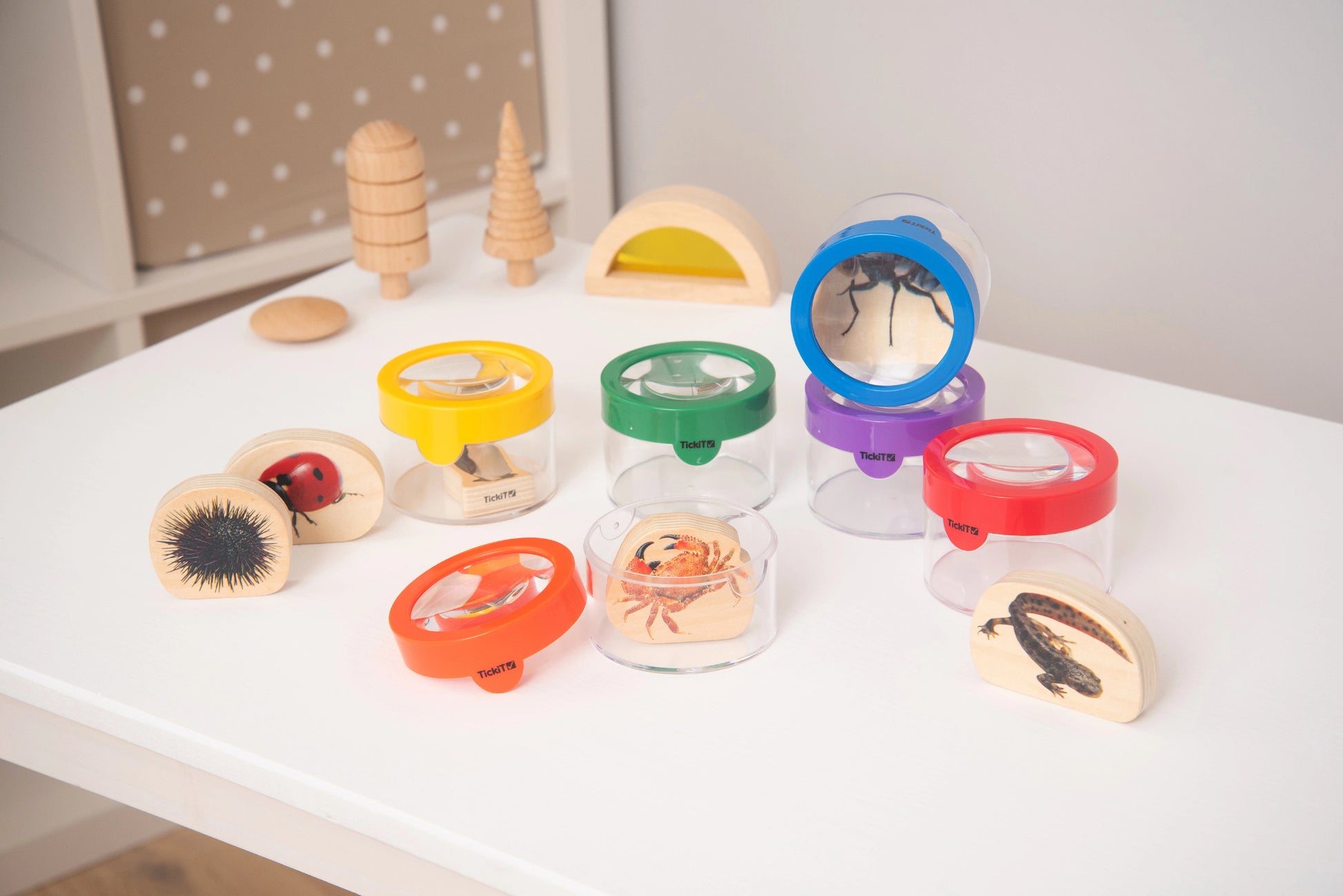 Lupa s nádobkou na hmyz, listy a kamínky