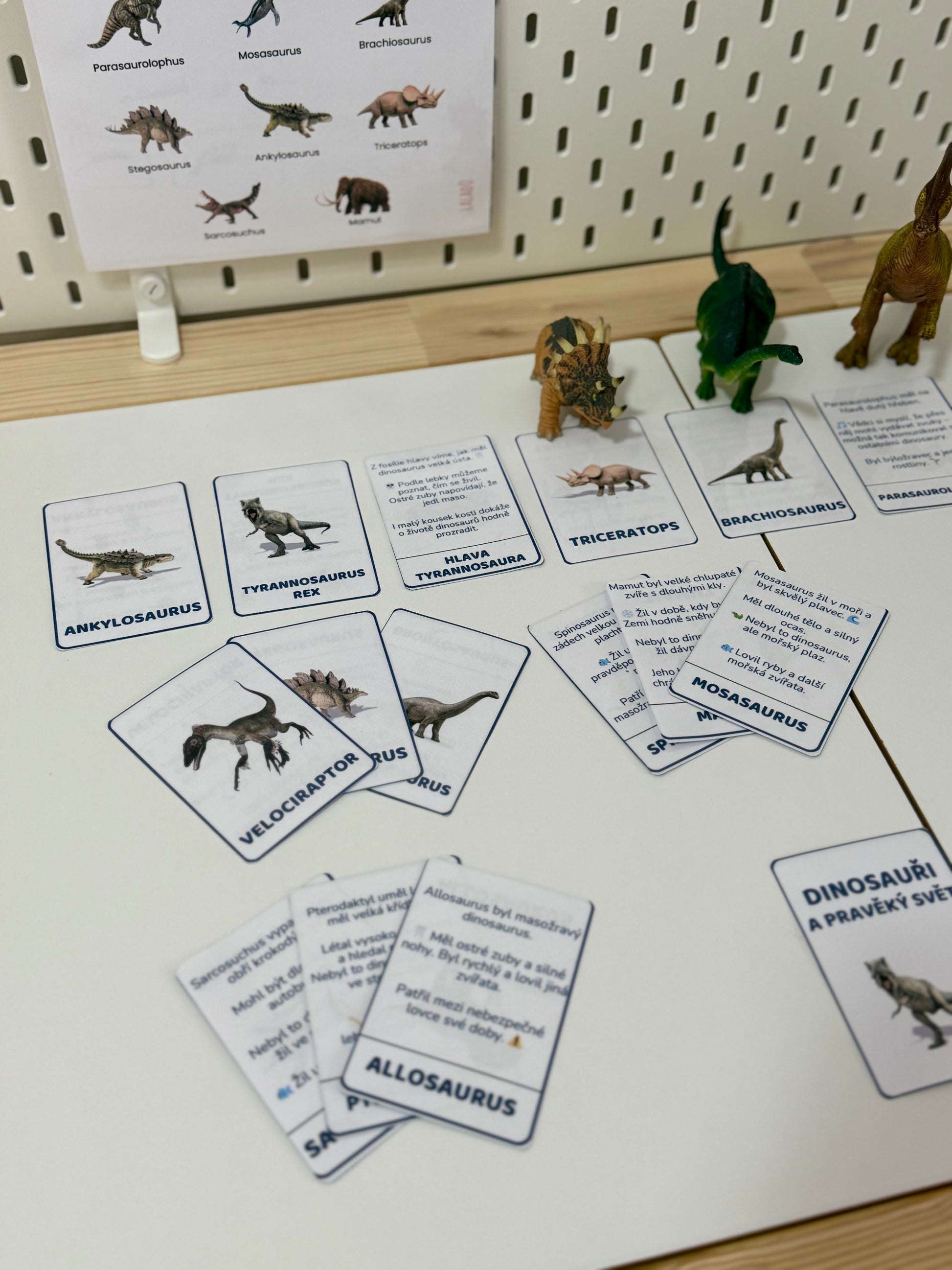 plakát a kartičky s dinosaury