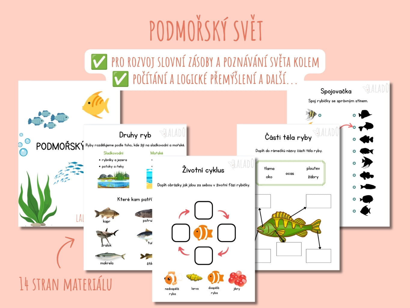 Pracovní listy o rybách, oceánu a mořských zvířátkách