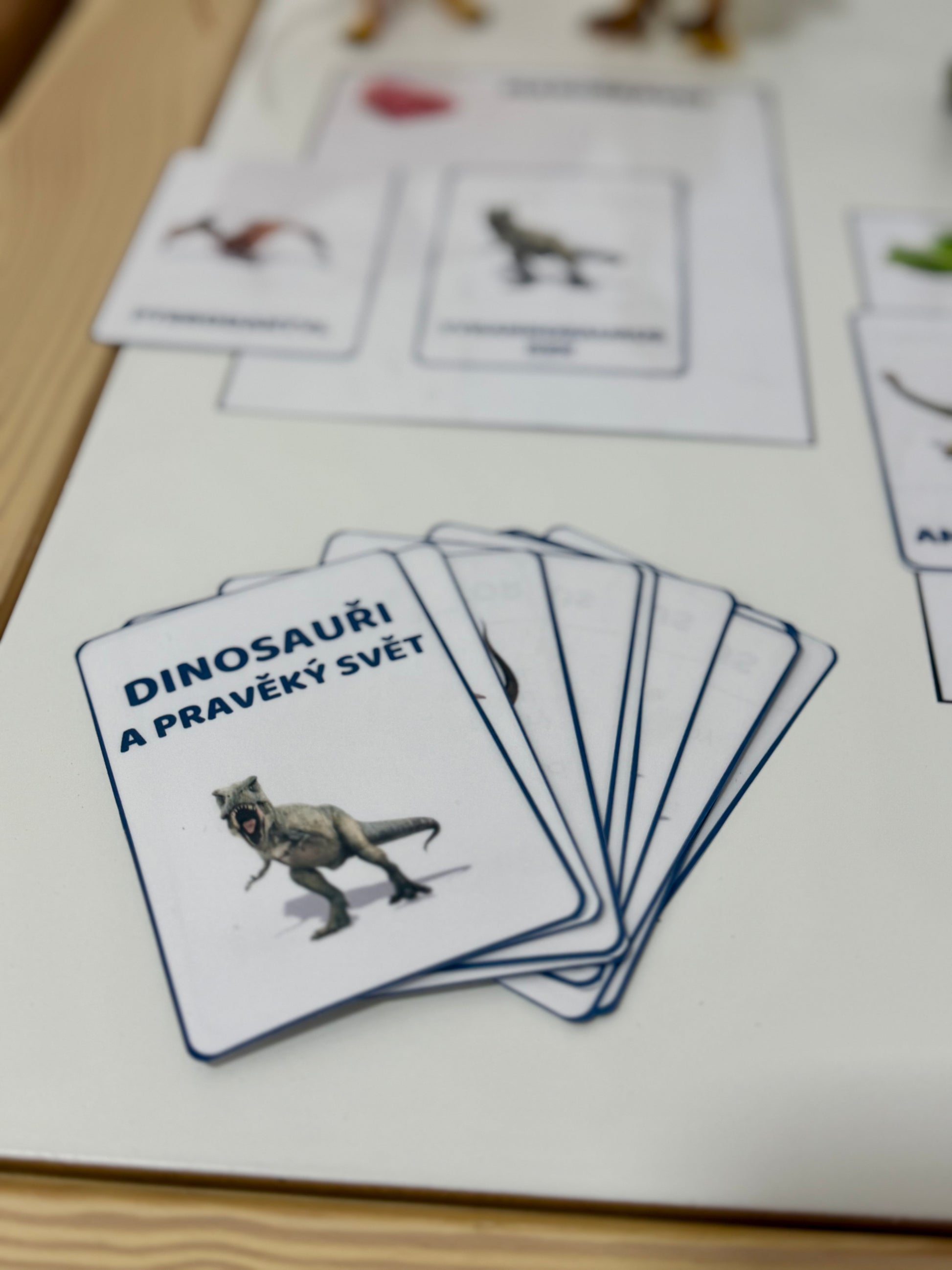 Výukové kartičky s fotografiemi dinosaurů pro děti