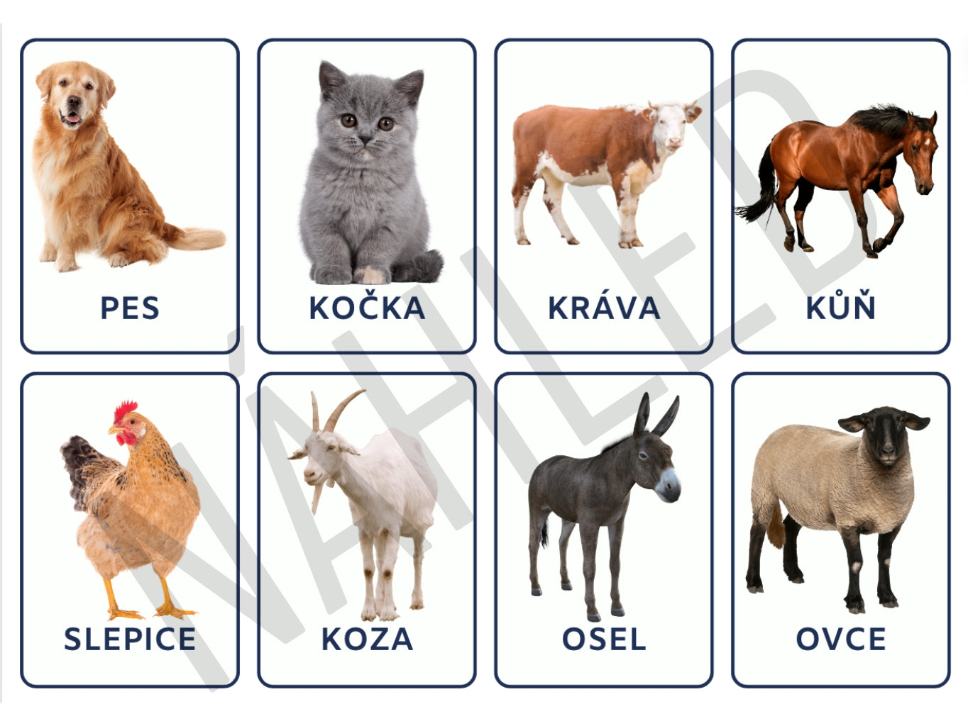 Edukační sada kartiček se zvířaty – poznávání zvířátek hravou formou