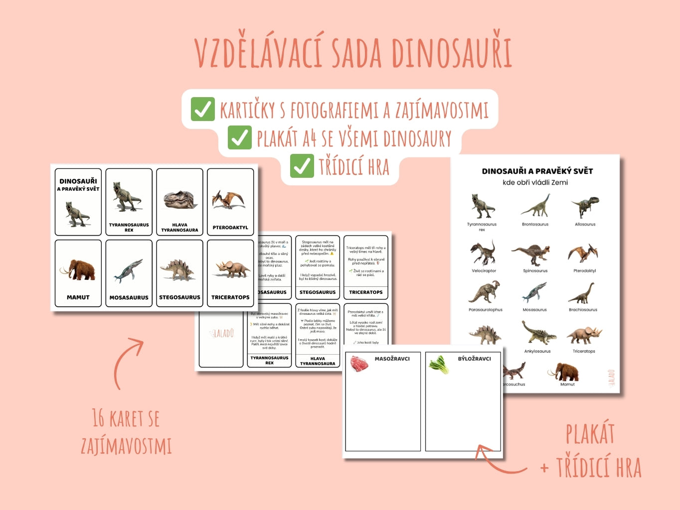 Vzdělávací sada Dinosauři – 16 kartiček, plakát a třídicí hra pro děti 2–6 let