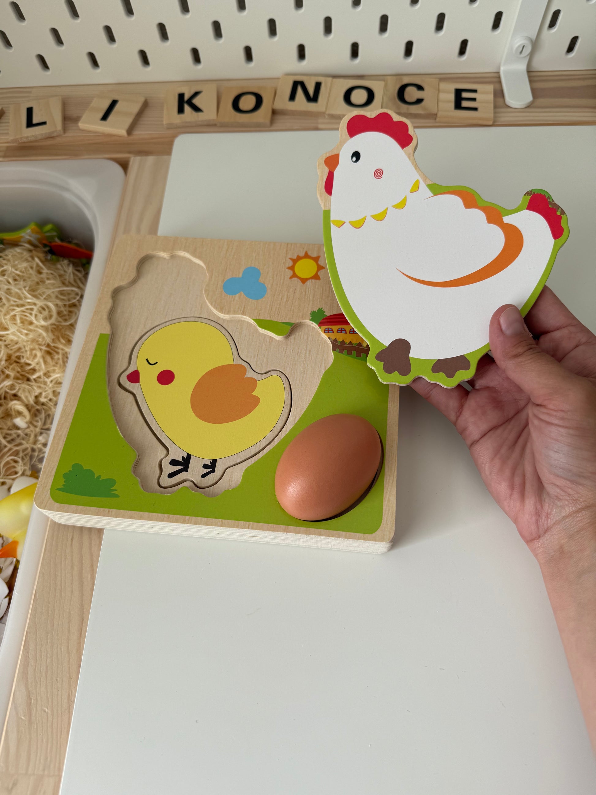 Naučné 3D puzzle pro děti s vývojovým cyklem kuřete
